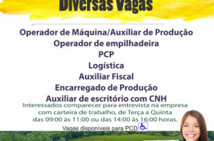 Oportunidade de emprego! 